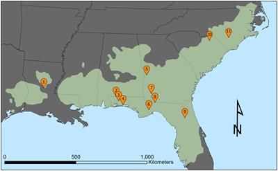 The Percentage of Trees Bearing Cones as a Predictor for Annual Longleaf Pine Cone Production